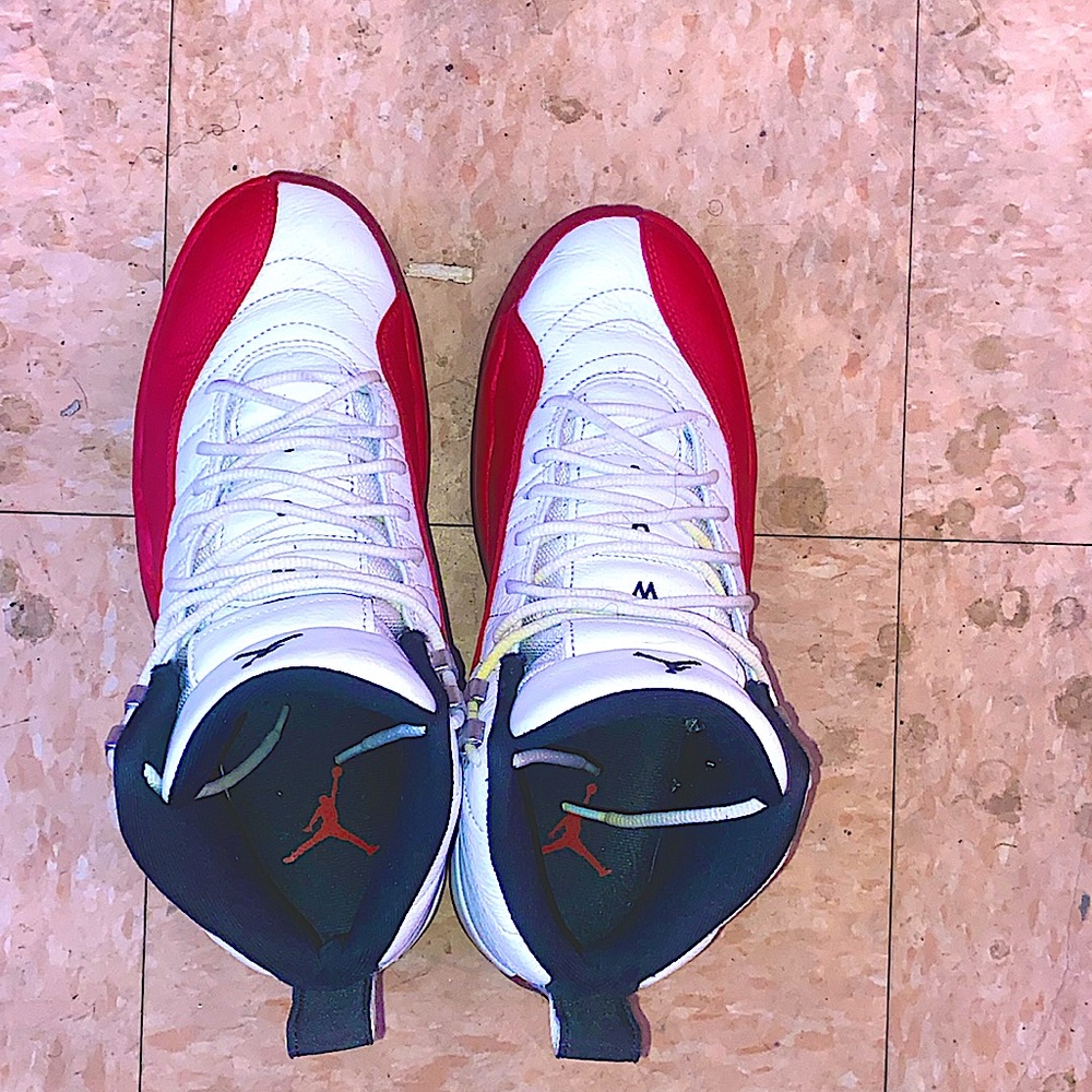 Mens Air Jordan 12 retro